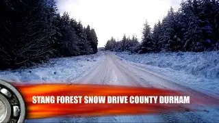 Snow Drive Stang Forest Storm Angus