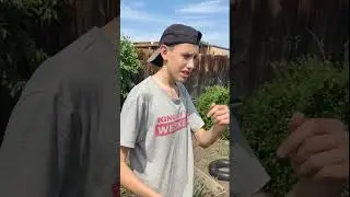 БАТЯ И ЖАРА 😂