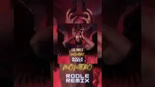 RODLE REMIX