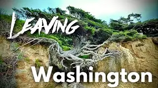 Uncovering Washington's Hidden Gems; Our Last Days in Washington