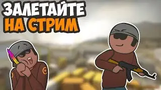 СТРИМ ПО CS:GO | АПАЕМ РАНГ!