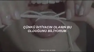 Selena Gomez - Fetish ft. Gucci Mane (Türkçe Çeviri)
