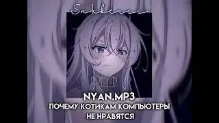 nyan.mp3 - Почему котикам компьютеры не нравится (Speed up)
