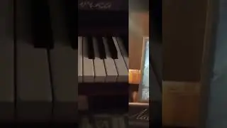 Мои видео из Тик тока (фортепиано) #4