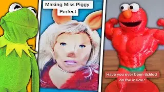 Tik Tok Memes Kermit the Frog Sent Me