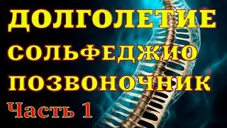 ДОЛГОЛЕТИЕ. Про улыбку, позвоночник, сольфеджио и упражнения для позвоночника и мозга  Часть 1