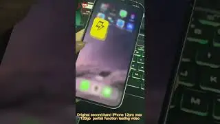 2023 8.4 Lucbit iPhone 12pro max Partial Function Test Video