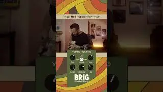 Travel back in time with the nostalgic sound of bucket brigade echoes, courtesy of Brig. #delaypedal