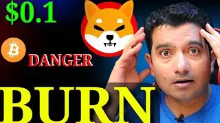 Shiba Inu Coin: BIG BURN NEWS | Bitcoin Analysis | US Debt News