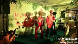 Диско-шоу на ваш праздник!