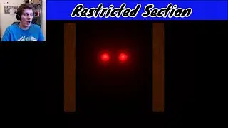 RETURN YOUR LIBRARY BOOKS | Restricted Section [Investigative Horror]