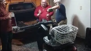 Marka 2024 llegó Yeguita  Azabache