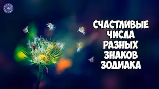 Счастливые числа разных знаков зодиака