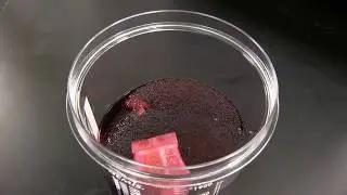 Red Z Medical Liquid Solidifier 1500cc Drop-In Pacs | Safetec of America