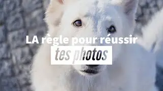 La technique pour améliorer tes photos : la déformation optique et les perspectives