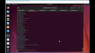 DNS Enumeration wiht OWASP Amass - Part 2