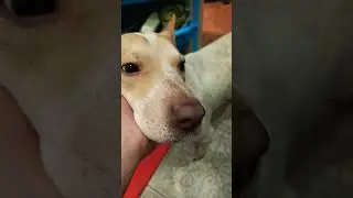 хорошие слова 