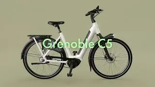 Gazelle Grenoble C5 | Royal Dutch Gazelle