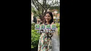 在老缅手上收的蛋面真的很便宜！#翡翠 #玉石 #缅甸翡翠 #珠宝 #文玩 #戒指 #项链
