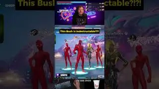 This Bush is indestructible!? #fortnite #fortniteclips #fyp  #funny #glitch #shorts