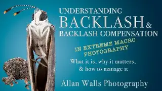 Backlash in Extreme Macro Photography