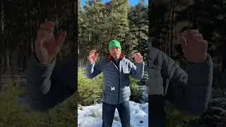 А вы знаете откуда берутся сосны в лесу? Слушайте внимательно и запоминайте 🫶 