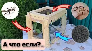 Террариум для палочников. 