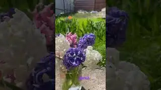 No comments 💜🩷🩵🩶🖤❤️💙🧡 #nature #relaxing #relaxingmusic #music #meditationmusic #одесса #coffe