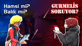 Gurmelis ile Hamsi mi? 🧐 Balık mı? 😉