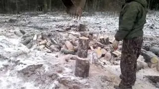 Как колоть дрова ковшом экскаватора