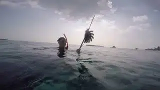 Охота на пожирателей мальдивских рифов