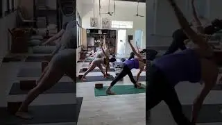 #StandingBalance #Inversion #IyengarYoga