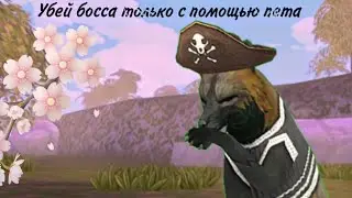 Untitled video
