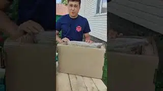 Сотовый мёд в картонной коробке