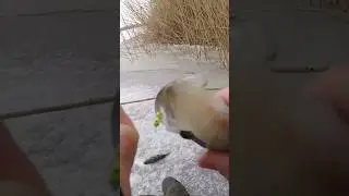 Глянь 👉 За Краєчок 😱 