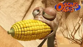 He needs the corn fr | Oscar’s Oasis