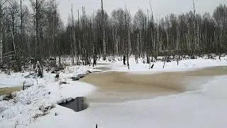 Здесь, в окоёме снегов, выросли мы!