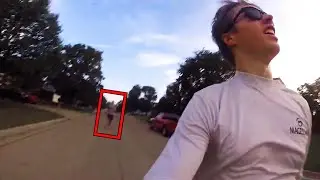10 moments no one would believe if they weren't recorded!