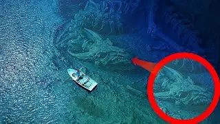 Scientists have discovered something strange in the Bermuda Triangle