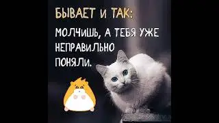 ОДНОЙ ФРАЗОЙ 🖊️ Всегда улыбайся ☝️