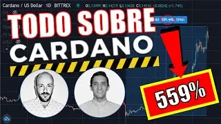 ¿Qué es Cardano (Criptomoneda ADA) y cómo funciona? 👉 En Español (2020)
