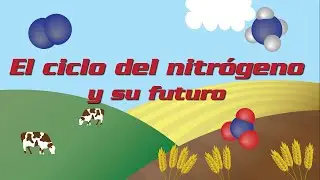 El ciclo del nitrógeno y su futuro