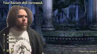 When a Imperial guard arrests a Redguard