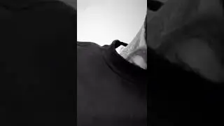Эндшпиль и Мияги капитан Live