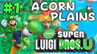 New Super Luigi U - World 1 - Acorn Plains