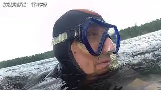 жёлтые кувшинки