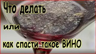 Винная цвель - одна из основных болезней вина.