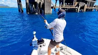 BIG STRUCTURE BIG FISH