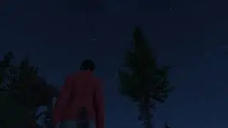 Why