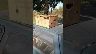 Как прекрасна Жизнь в деревне 🤗 !!! 